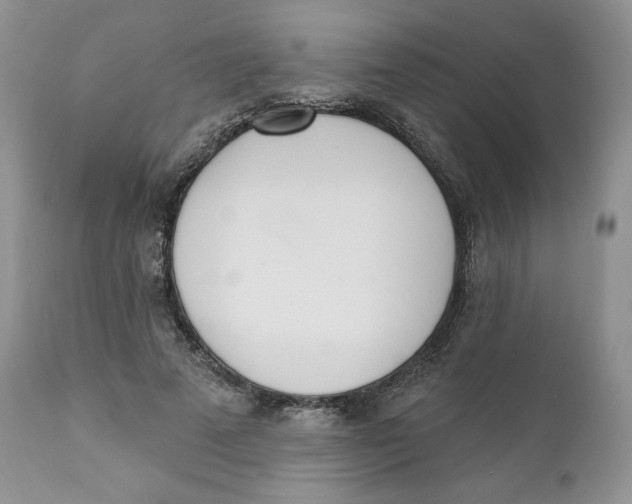 X0000110740689200907061007