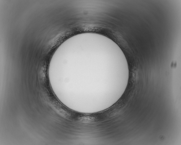 X0000110740691200907061007