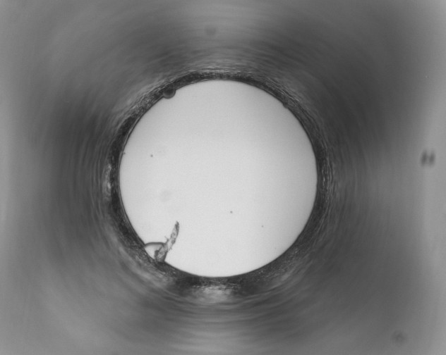 X0000110740692200907061007