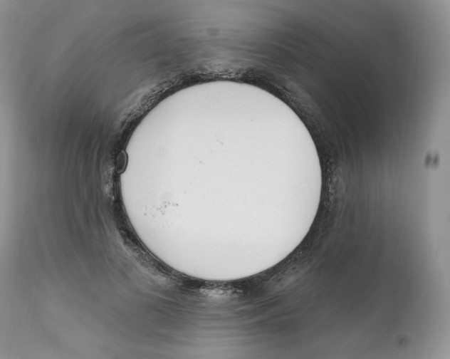 X0000110740693200907061007