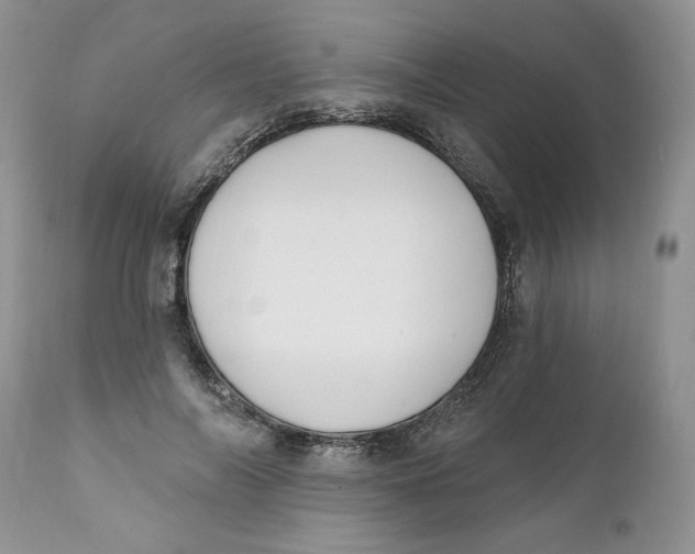 X0000110740694200907061007