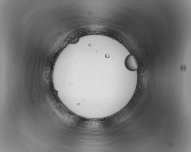 X0000110740698200907061007