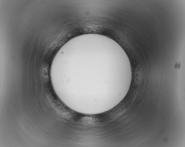 X0000110740699200907061007