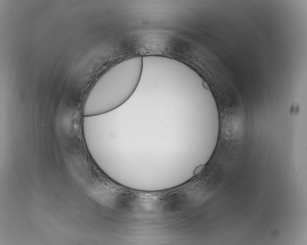 X0000110740701200907061007