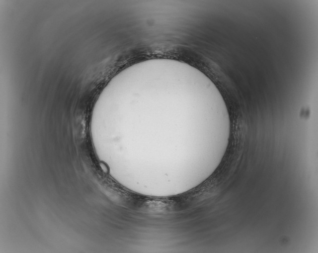 X0000110740703200907061007