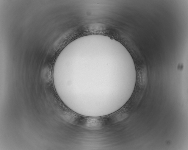 X0000110740705200907061007