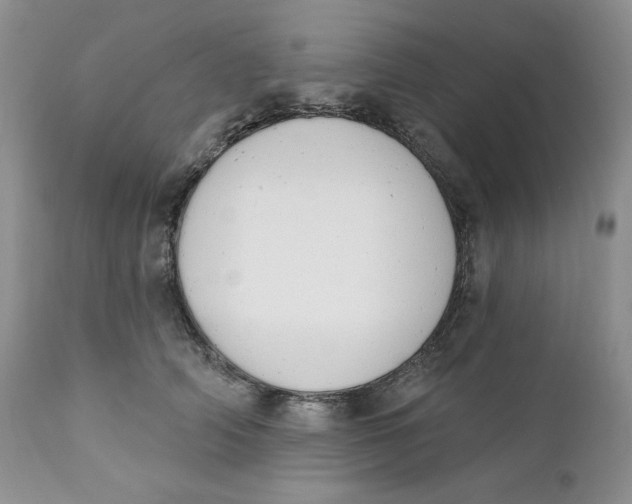 X0000110740706200907061007