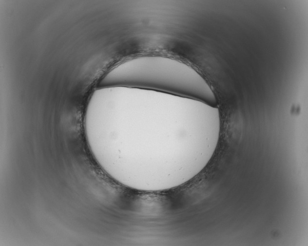 X0000110740708200907061007