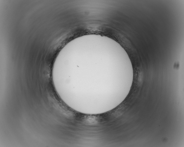 X0000110740710200907061007