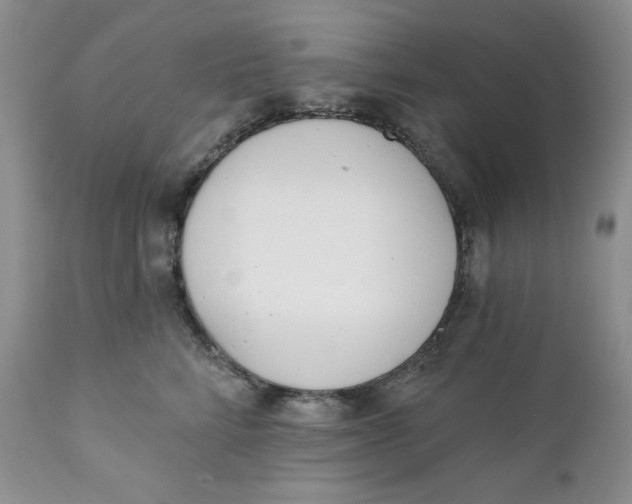 X0000110740712200907061007