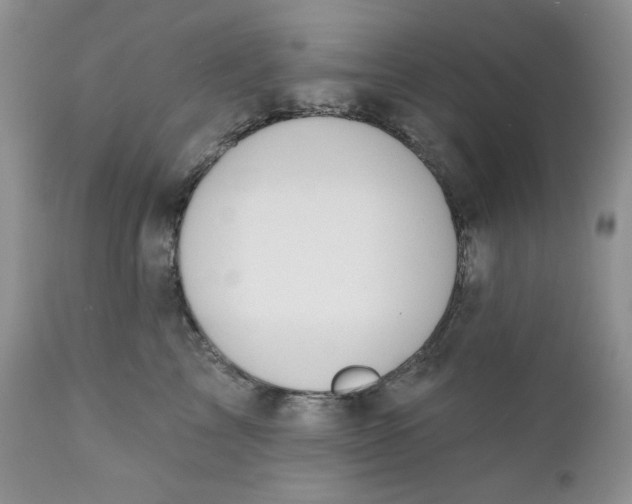 X0000110740713200907061007