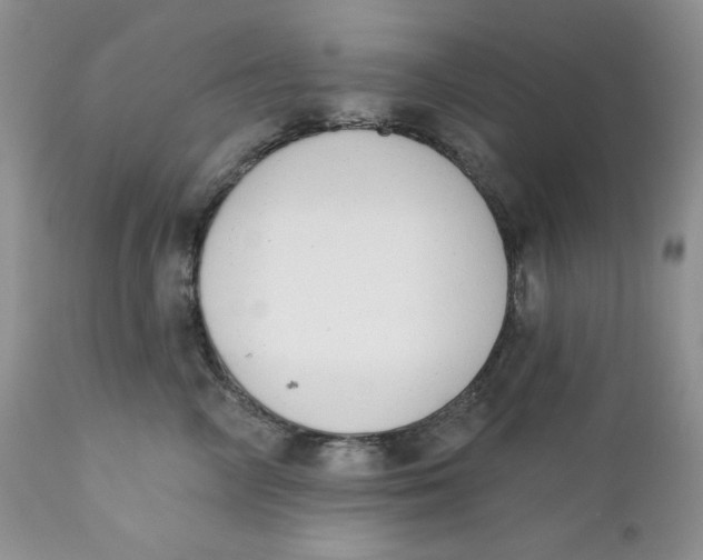 X0000110740714200907061007