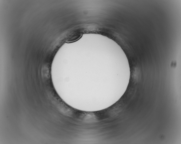 X0000110740715200907061007