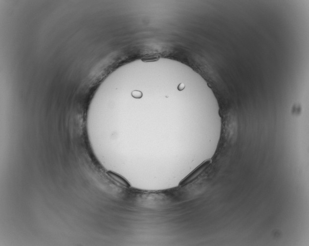 X0000110740716200907061007