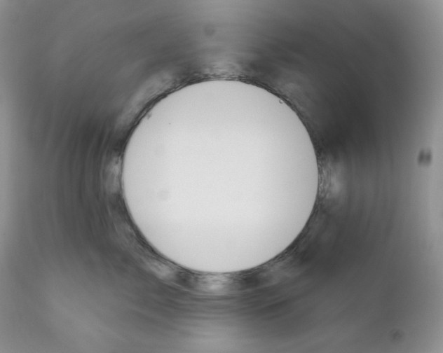 X0000110740717200907061007