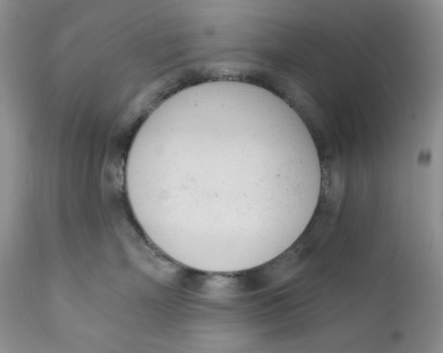 X0000110740718200907061007