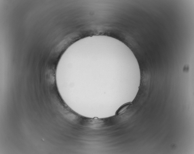 X0000110740719200907061007