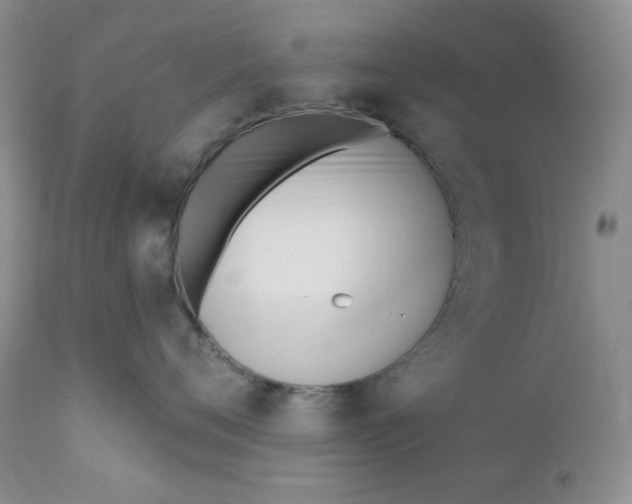 X0000110740720200907061007