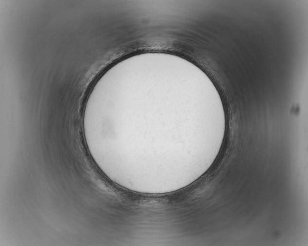 X0000110740721200907061006