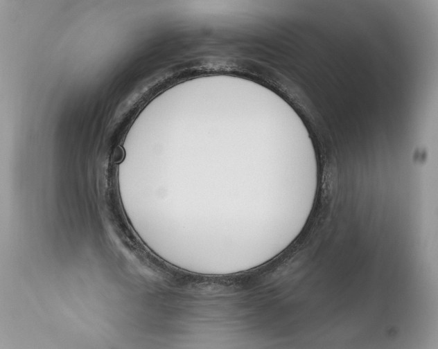 X0000110740722200907061006