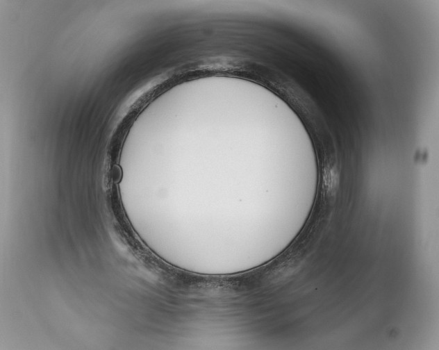 X0000110740724200907061006