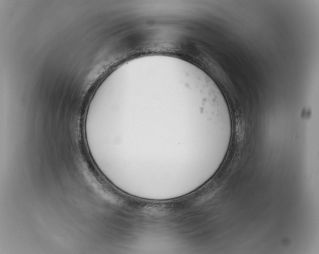 X0000110740725200907061006