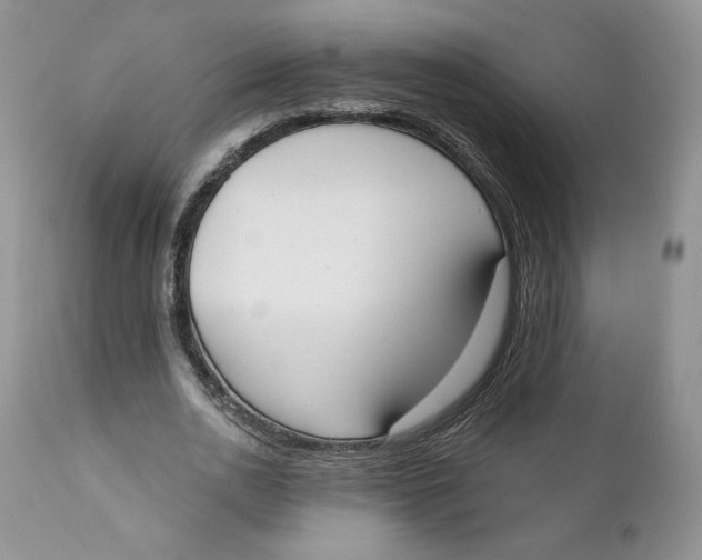 X0000110740726200907061006