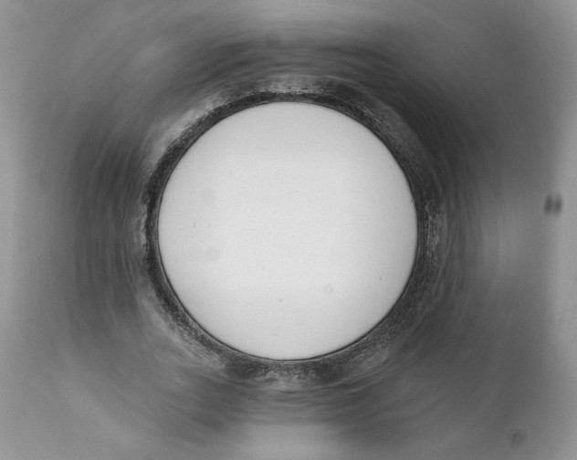 X0000110740727200907061006