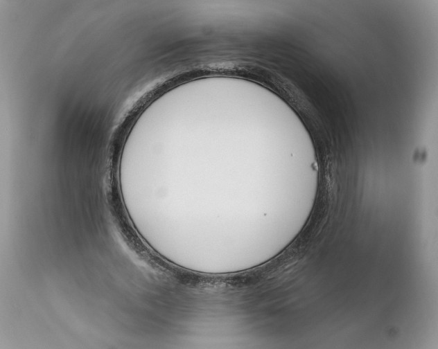 X0000110740728200907061006