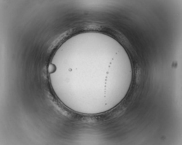 X0000110740729200907061006