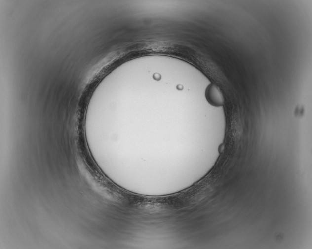 X0000110740730200907061006