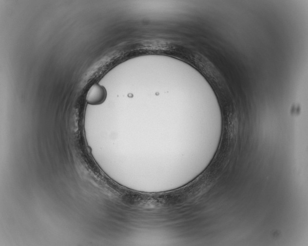 X0000110740731200907061006