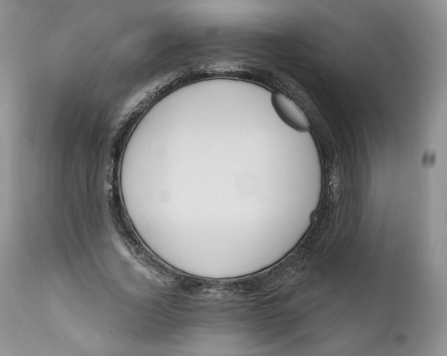 X0000110740732200907061006