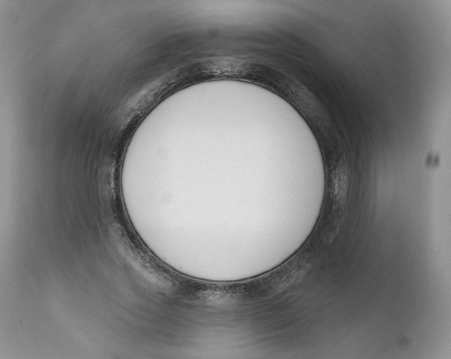 X0000110740733200907061006