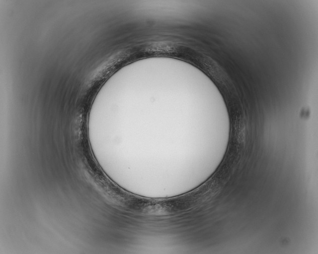 X0000110740735200907061006