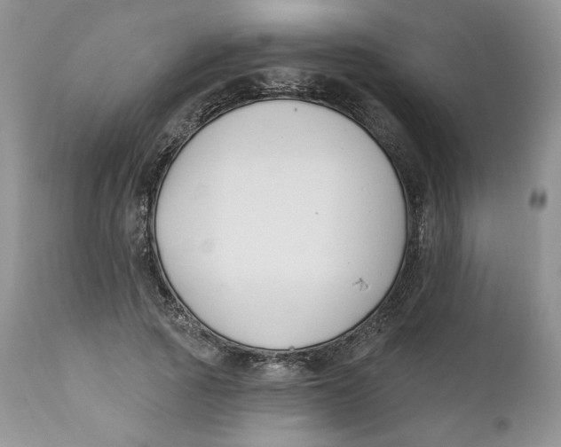 X0000110740737200907061006