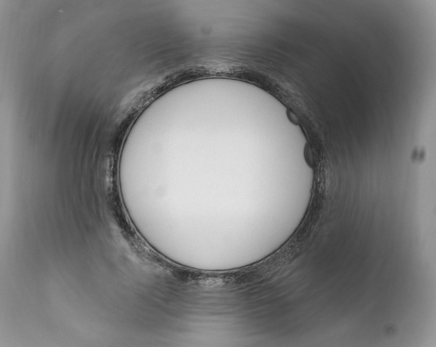 X0000110740740200907061006