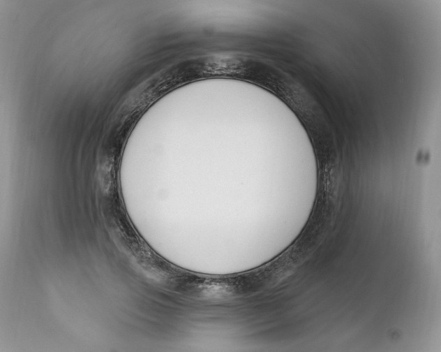 X0000110740741200907061006