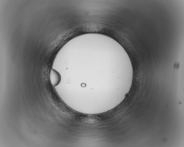 X0000110740743200907061006