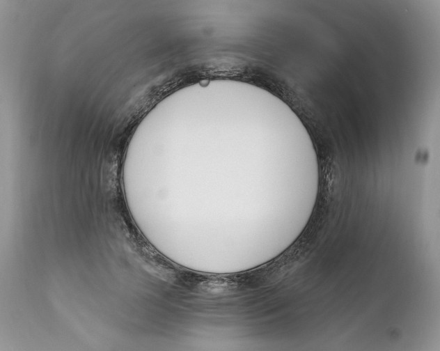 X0000110740745200907061007