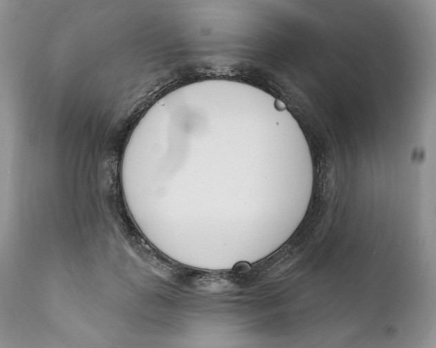 X0000110740747200907061007