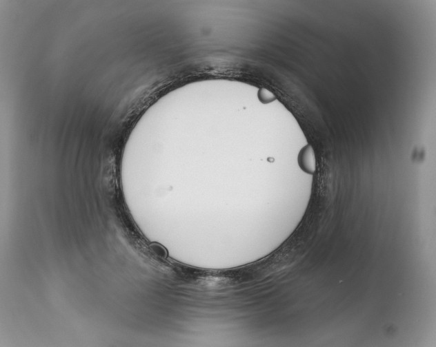 X0000110740748200907061007