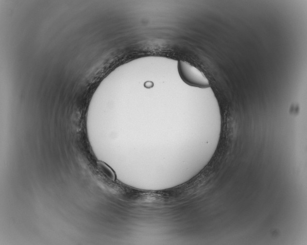 X0000110740750200907061007