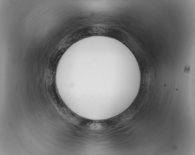 X0000110740751200907061007