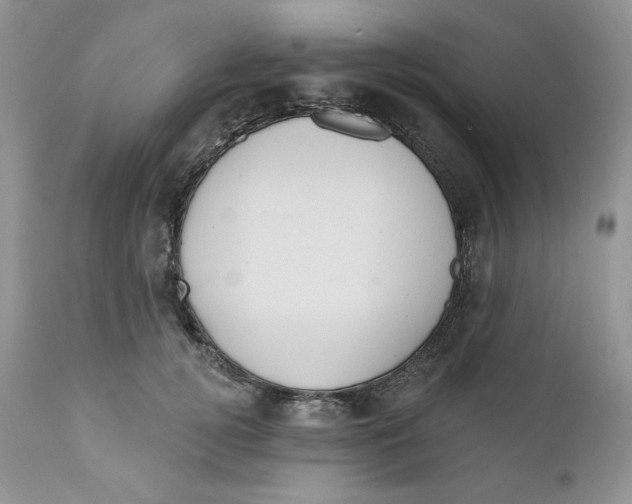 X0000110740752200907061007