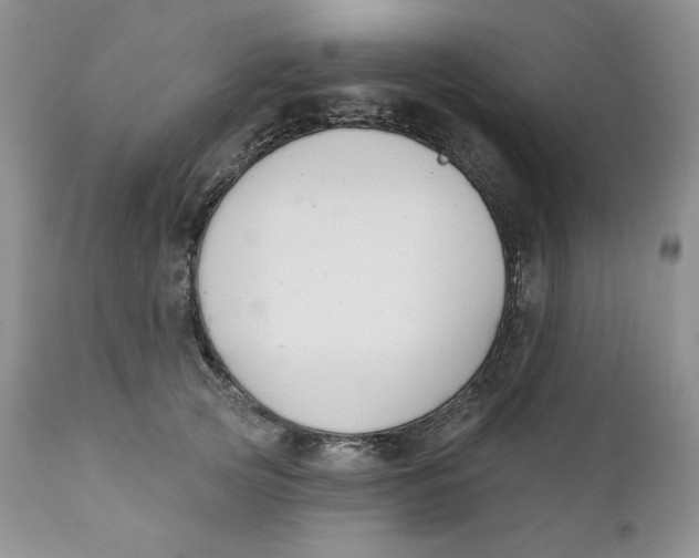 X0000110740753200907061007