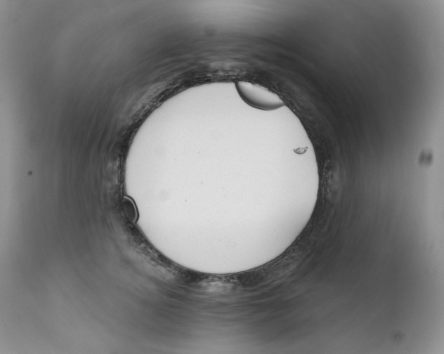 X0000110740756200907061007