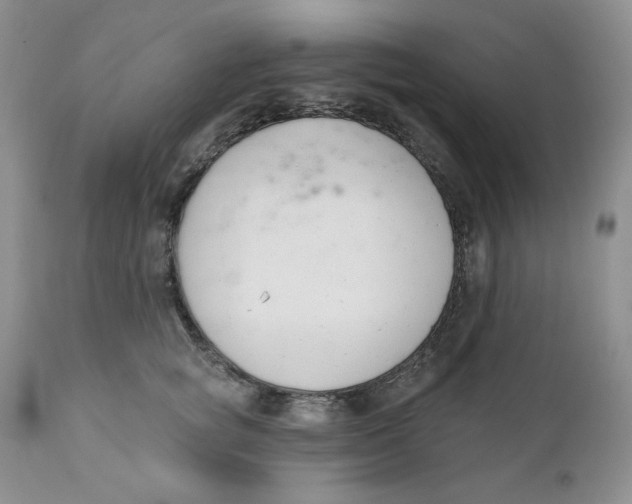 X0000110740757200907061007