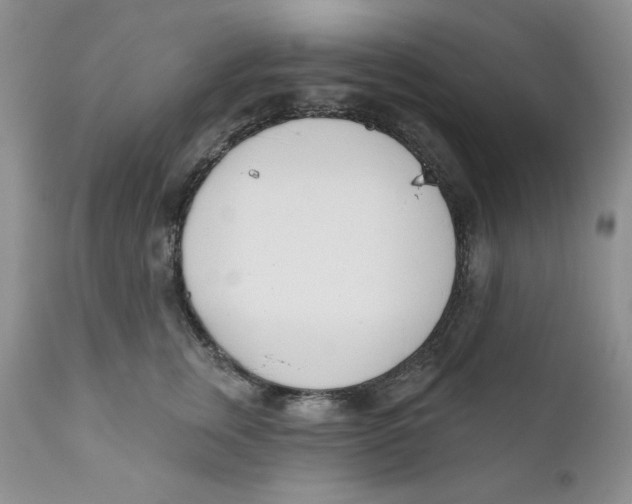 X0000110740759200907061007