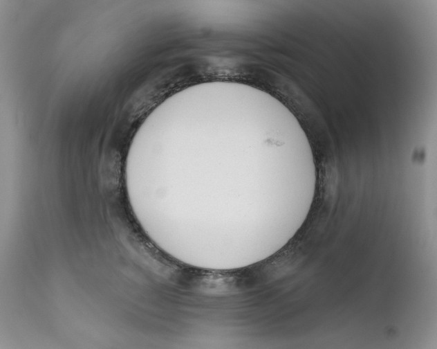 X0000110740760200907061007